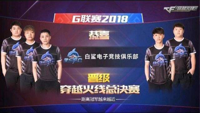 单区深耕 单区深耕